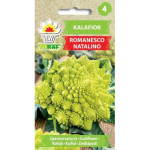 Kalafior Romanesco natalino 1g TORAF