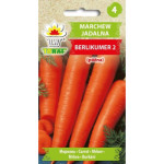 Marchew jadalna BERLIKUMER 2 5g TORAF