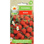 Poziomka Rugia 0,2g TORAF