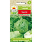 Sałata krucha lodowa Traper 1g TORAF