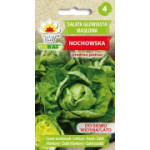 Sałata głowiasta masłowa Nochowska 1g TORAF