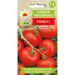 Pomidor szklarniowy PEDRO F1 0,2g TORAF