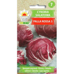 Cykoria sałatowa Palla Rosa 3 5g TORAF
