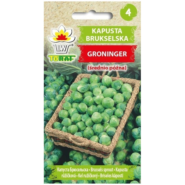 Kapusta Brukselska Groninger 2g TORAF