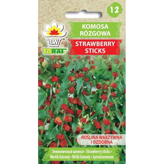 Komosa rózgowa Strawberry Sticks 0,1g TORAF