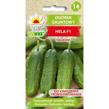 Ogórek gruntowy HELA F1 5g TORAF