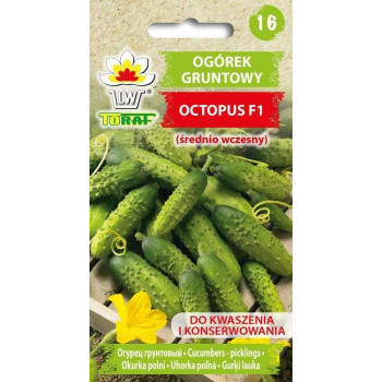 Ogórek gruntowy OCTOPUS F1 1g TORAF