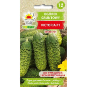 Ogórek gruntowy VICTORIA F1 5g TORAF