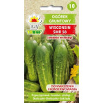 Ogórek gruntowy WISCONSIN SMR 58 5g TORAF