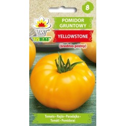 Pomidor gruntowy YELLOWSTONE 0,3g TORAF