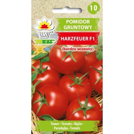 Pomidor gruntowy Harzfeuer F1 0,3g TORAF