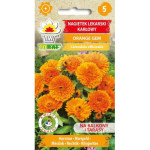 Nagietek lekarski karłowy Orange Gem 1g TORAF