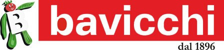 Bavicchi